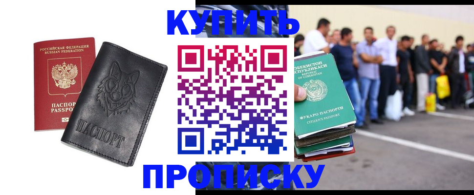 прописка иностранных граждан в Кингисеппе